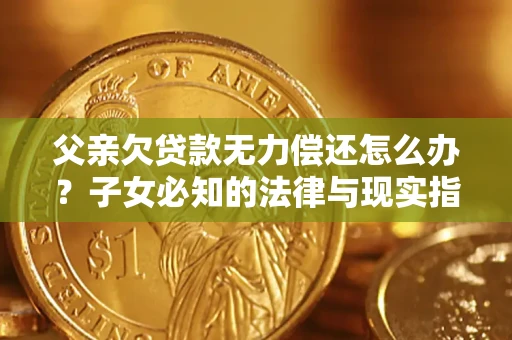 武汉父亲欠贷款无力偿还怎么办？子女必知的法律与现实指南